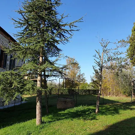 Podere il Poggio Asciano Esterno foto