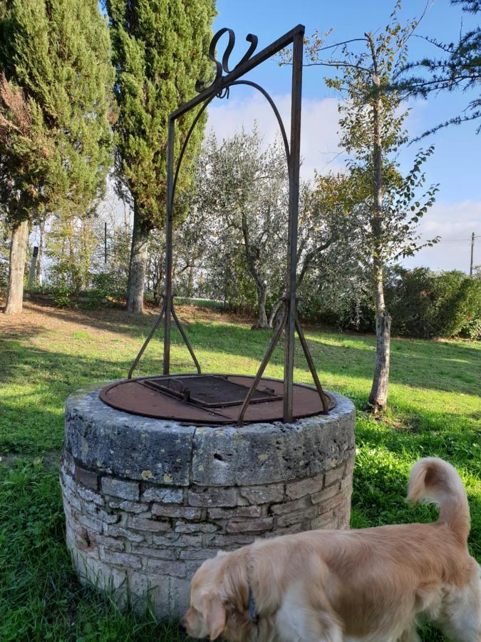Podere Il Poggio *