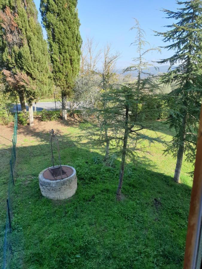 Podere Il Poggio Asciano