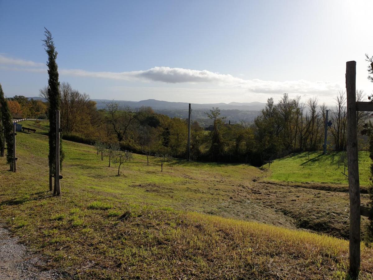 Casa vacanze Podere Il Poggio Asciano